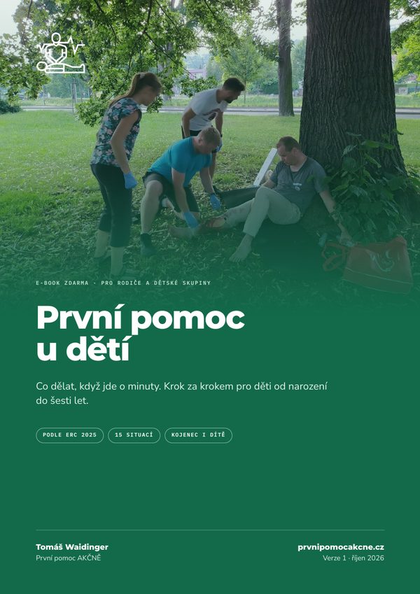 Obálka: e-book První pomoc u dětí