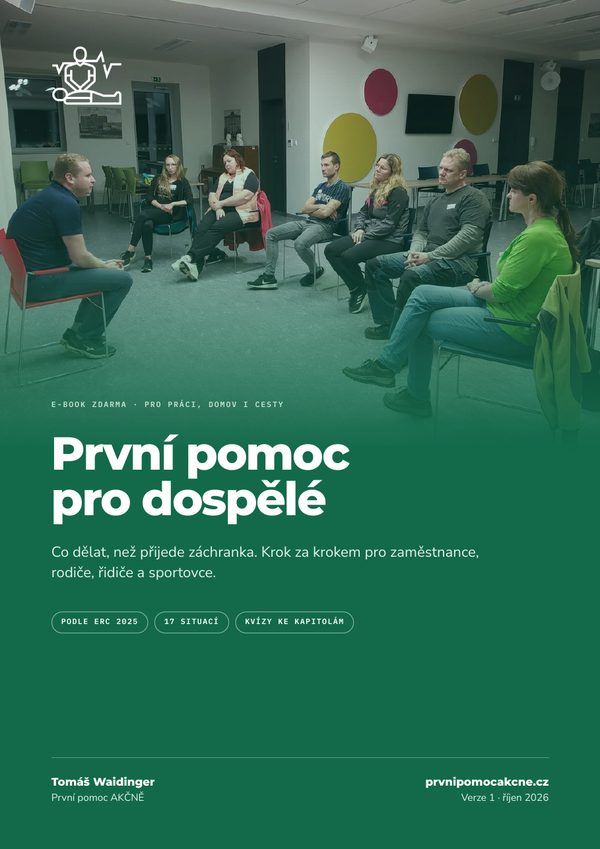 Obálka: e-book První pomoc pro dospělé